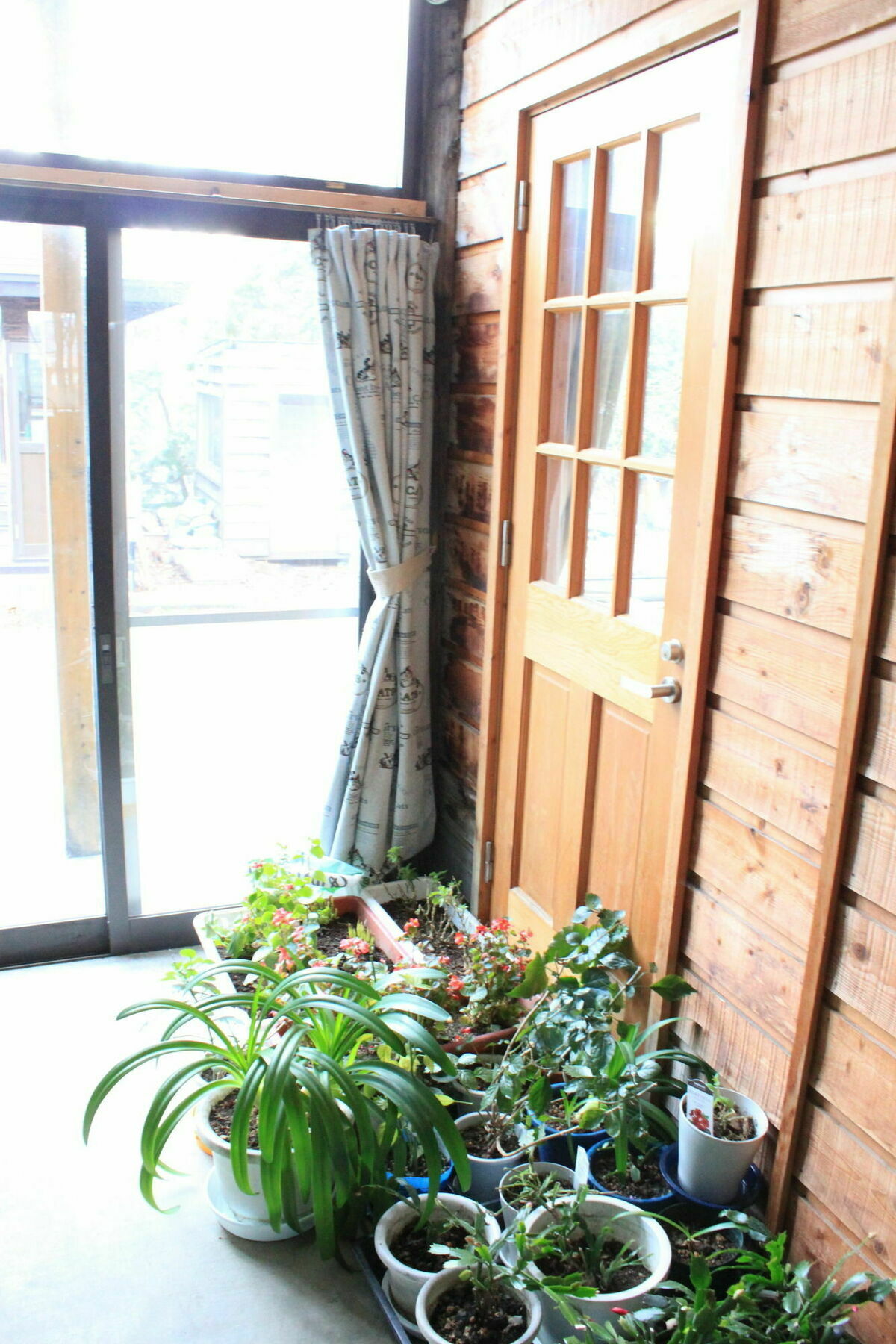 Cottage Yuyu NakaNakafurano المظهر الخارجي الصورة